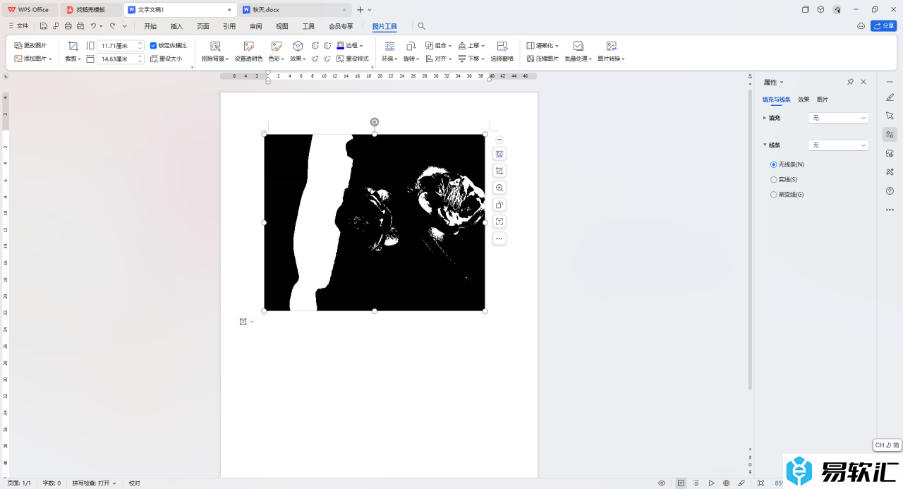 WPS Word文档设置图片为黑白的方法